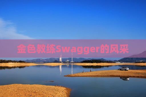 金色教练Swagger的风采